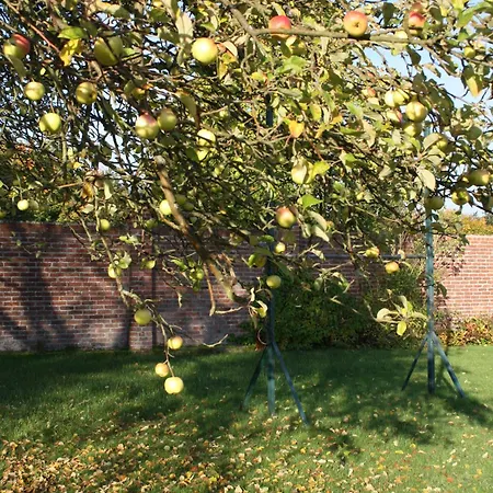 Gut Kattenhoehlen Lejlighed