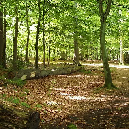 Gut Kattenhoehlen Apartamento Scharbeutz